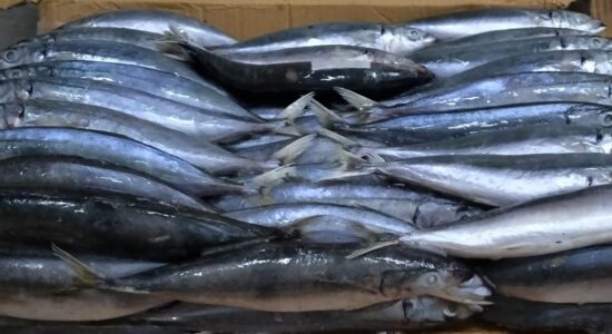 3310e056-cb04-4ef1-8074-62a1f943573b 3310e056-cb04-4ef1-8074-62a1f943573b